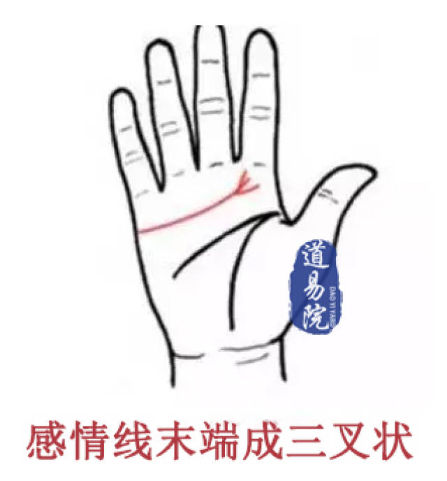 私人度假岛动漫