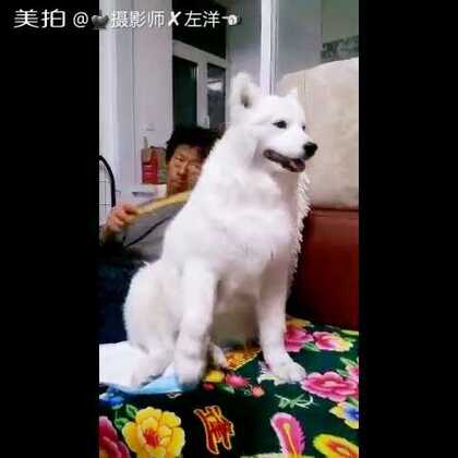 幼幼？(女色情 保护未成年人远离不良信息