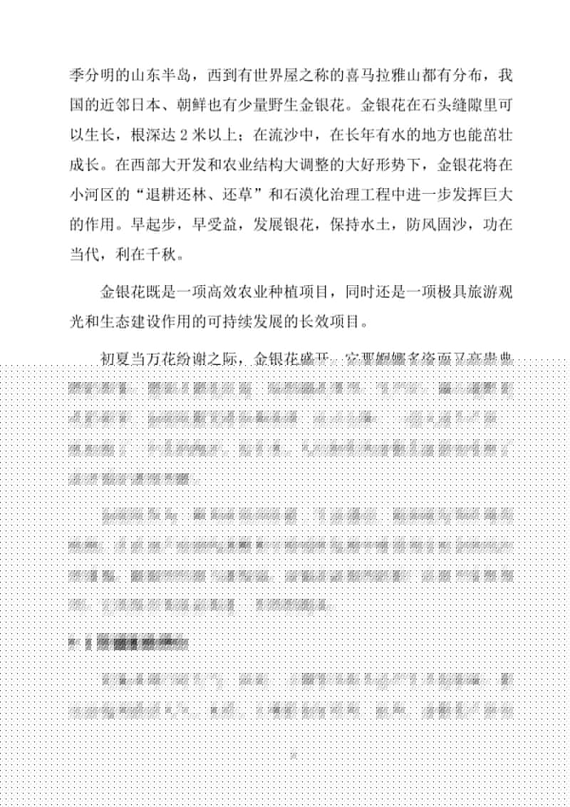 新世纪狂欢视频海报