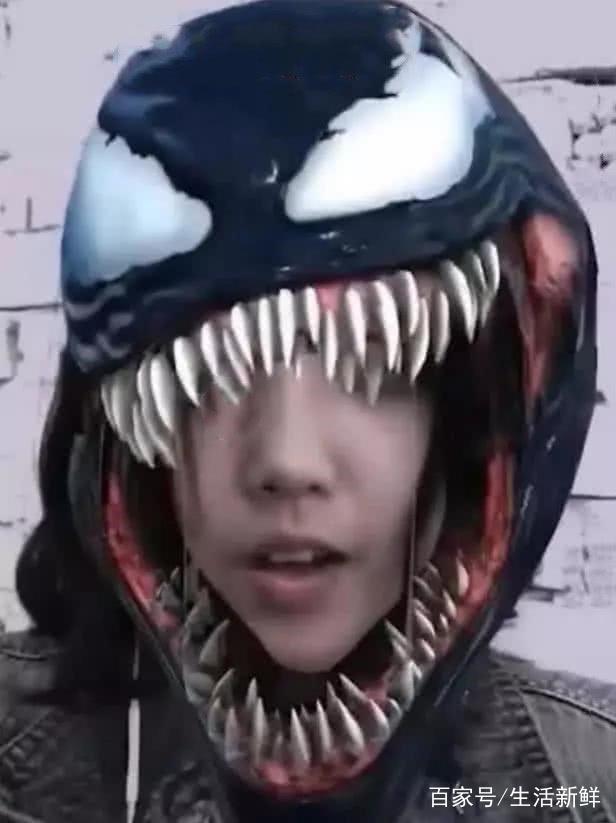 果冻传媒网站 小众影视作品的传媒观众