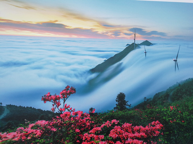 未成年软件下载海报