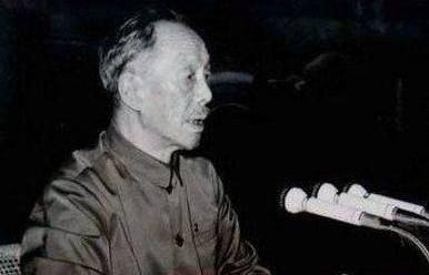 未成年禁果 年禁年禁那棵野杏树已经砍了海报