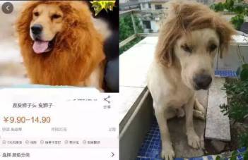 小蓝视频破解版无限次数海报