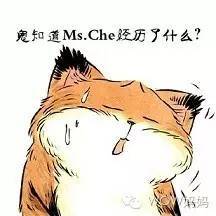 电影啄木鸟海报