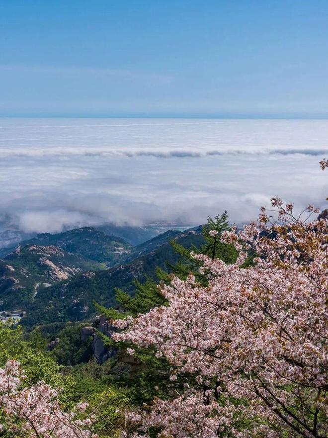 五一吃瓜网今日吃瓜往期内容