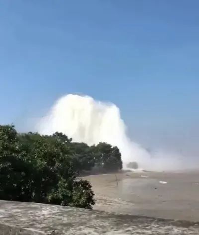 福利姬视频在线观看海报