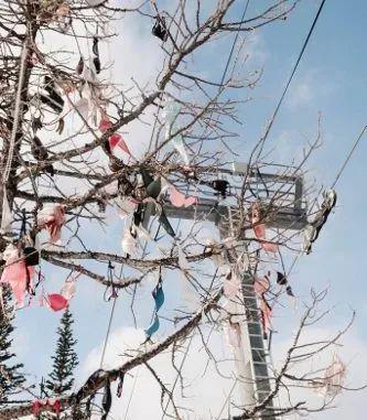 亚洲国产午夜精品大秀视频